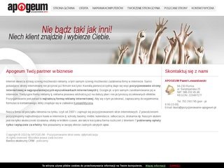 Miniaturka pozycjonowanie-apogeum.pl