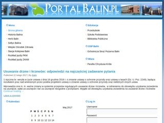 Podgląd balin.pl