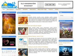Podgląd wypoczynet.pl