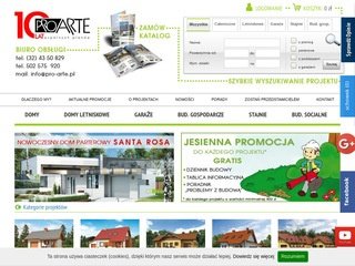 Podgląd pro-arte.pl