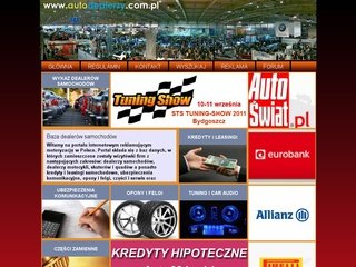 Podgląd autodealerzy.com.pl