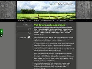 Podgląd borkowo.info.pl