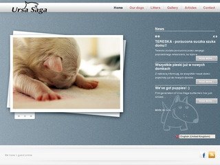 Miniaturka bullteriery.pl