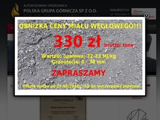 Podgląd wegiel-rajca.pl