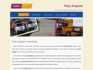 Podgląd drogowe-plyty.pl