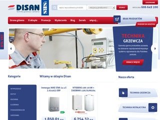 Miniaturka disan.pl