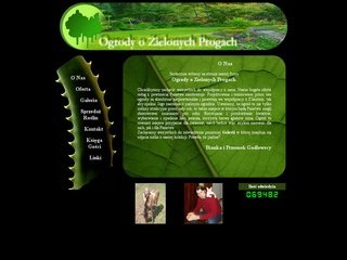 Podgląd zieloneprogi.pl