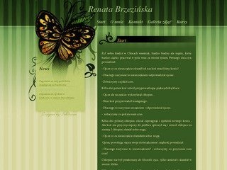 Podgląd renatabrzezinska.pl