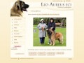 Podgląd leoaureus.com