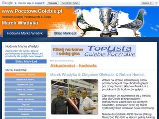 Podgląd pocztowegolebie.pl