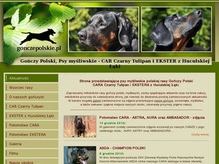 Podgląd gonczepolskie.pl
