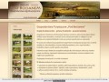 Podgląd podbocianem.com.pl
