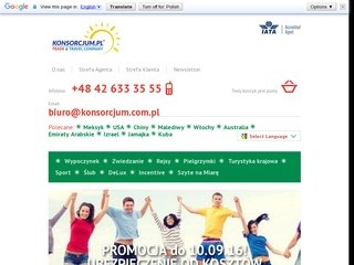 Podgląd konsorcjum.com.pl