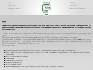 Podgląd selvawroc.pl