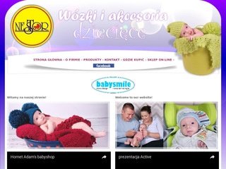 Podgląd nestor-wozki.com