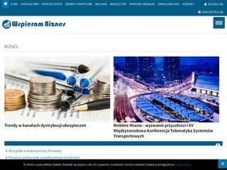 Podgląd wspieram-biznes.eu