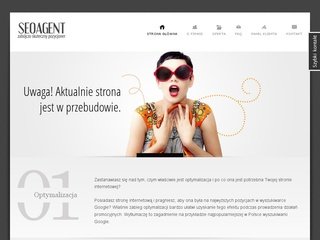 Podgląd seoagent.pl
