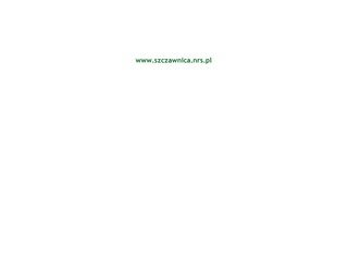 Podgląd napiaskach.nrs.pl
