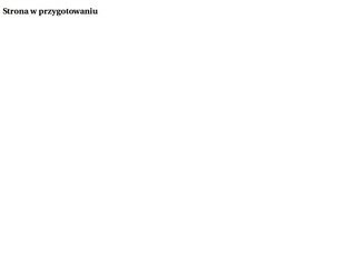 Podgląd geo-group.pl
