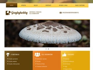 Podgląd grzybyhobby.pl