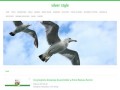Podgląd silver-style.com.pl