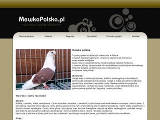 Miniaturka mewkapolska.pl