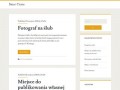 Podgląd smartrans.pl