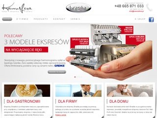 Podgląd ekspresybrasilia.pl