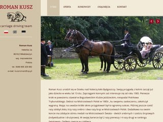 Podgląd kuszroman.pl