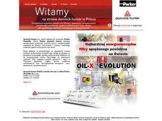 Miniaturka domnickhunter.pl