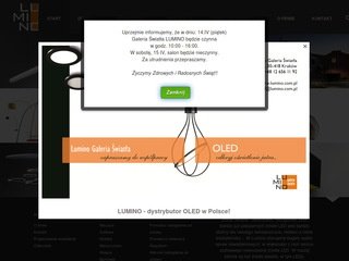 Podgląd lumino.com.pl