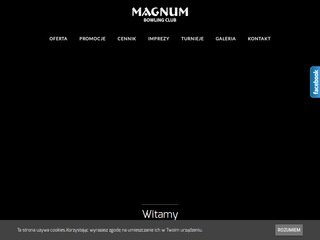 Podgląd magnumkregielnia.pl