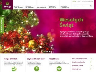 Miniaturka smarteco.pl