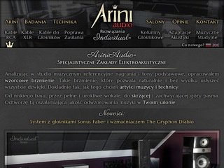Podgląd ariniaudio.pl