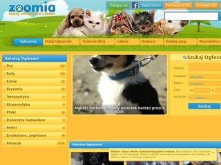 Podgląd zoomia.pl