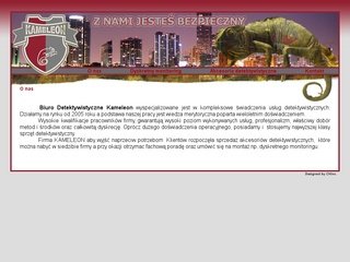 Podgląd dyskretny-monitoring.com.pl