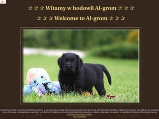 Podgląd labrador.az.pl