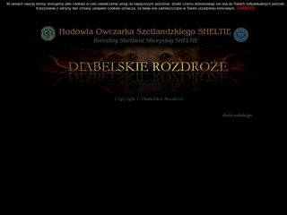 Podgląd diabelskierozdroze.eu