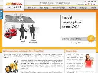Podgląd auto-kasacja.pl