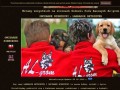 Podgląd owczarekniemiecki.info