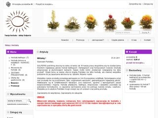 Podgląd solperis.pl