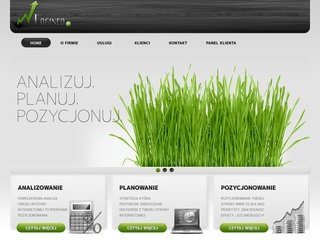 Podgląd logineo.pl