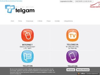 Podgląd telgam.pl