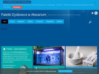 Miniaturka paletki-dyskowce.com