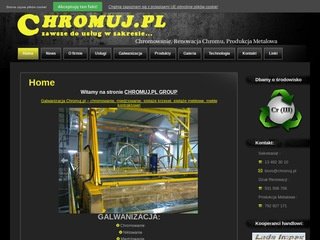 Podgląd chromuj.pl