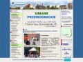Podgląd e-sandomierz.pl