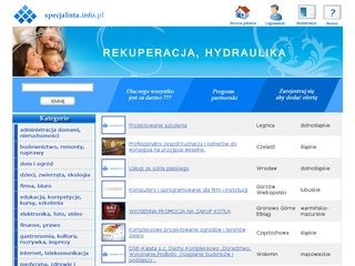 Podgląd specjalista.info.pl
