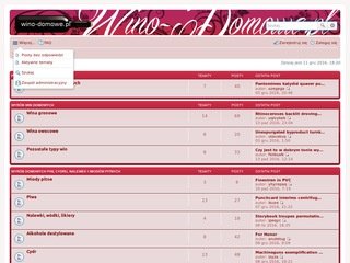Miniaturka wino-domowe.pl