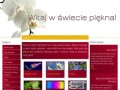 Podgląd windeco.pl