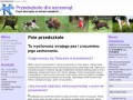 Podgląd przedszkole.dogidog.pl